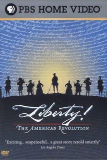 Profilový obrázek - Liberty! The American Revolution