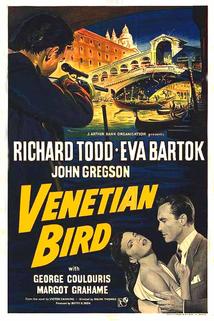 Venetian Bird
