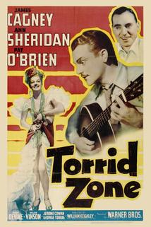 Profilový obrázek - Torrid Zone