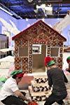 Profilový obrázek - Christmas: Ultimate Gingerbread House