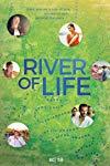 Profilový obrázek - River of Life - Kwai