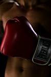 Profilový obrázek - The Boxing Guy