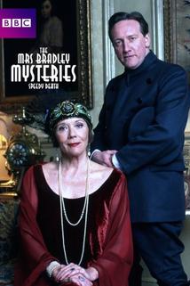 Profilový obrázek - The Mrs Bradley Mysteries