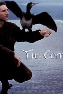 Profilový obrázek - The Cormorant