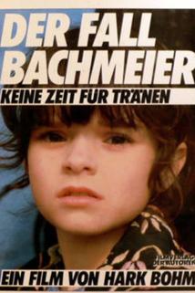 Fall Bachmeier - Keine Zeit für Tränen, Der