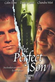Profilový obrázek - The Perfect Son