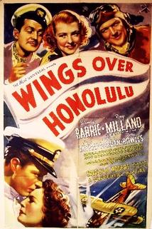 Profilový obrázek - Wings Over Honolulu