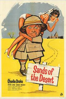 Profilový obrázek - Sands of the Desert