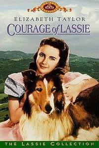 Odvážná Lassie  - Courage of Lassie