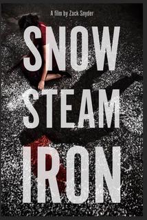 Profilový obrázek - Snow Steam Iron