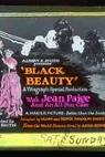 Black Beauty (1921)