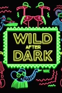 Profilový obrázek - Wild After Dark