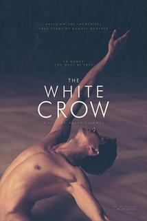 Profilový obrázek - The White Crow