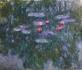 Monetovy lekníny - magie vody a světla