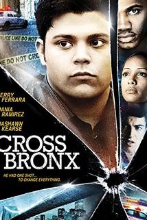 Profilový obrázek - Cross Bronx