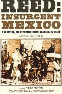 Profilový obrázek - Reed, México insurgente