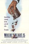 Tam, kde je srdce (1990)