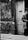 Alberto Giacometti by Stanley Tucci 