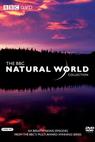 The Natural World 