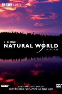 The Natural World  - Natural World