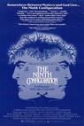 The Ninth Configuration 