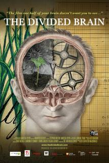 Profilový obrázek - The Divided Brain