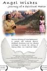 Angel Wishes: Journey of a Spritual Healer (2008)