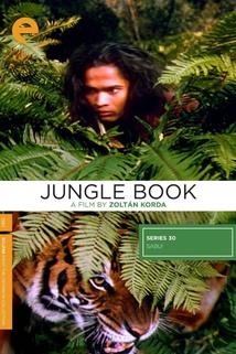 Kniha džunglí  - Jungle Book