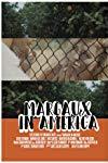 Margaux in America