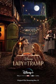 Lady and the Tramp  - Lady and the Tramp