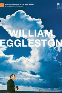 William Eggleston in the Real World  - William Eggleston in the Real World