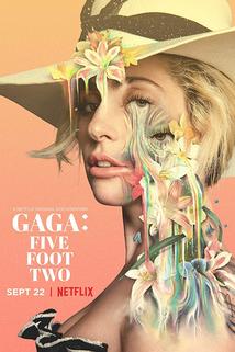 Profilový obrázek - Gaga: Five Foot Two