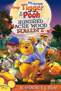 Profilový obrázek - My Friends Tigger and Pooh: The Hundred Acre Wood Haunt