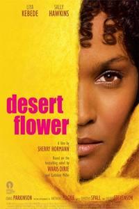 Profilový obrázek - Květ pouště