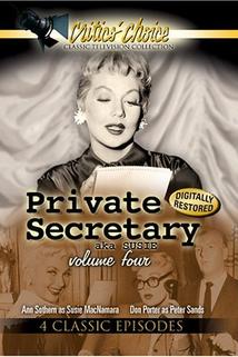 Profilový obrázek - Private Secretary