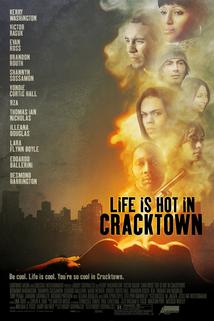 Profilový obrázek - Life Is Hot in Cracktown