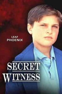 Profilový obrázek - Secret Witness