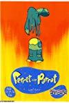 Profilový obrázek - Ferret and Parrot