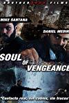 Profilový obrázek - Soul of Vengeance