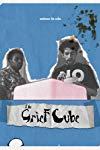 The Grief Cube