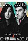 Shawn Mendes & Hailee Steinfeld: Stitches, Acoustic Version