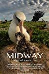 Profilový obrázek - Midway: Edge of Tomorrow