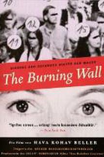Profilový obrázek - The Burning Wall
