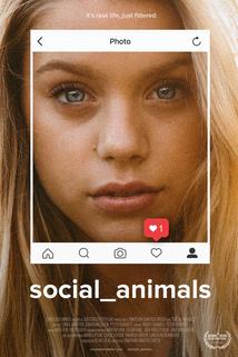 Profilový obrázek - Social Animals