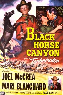 Profilový obrázek - Black Horse Canyon