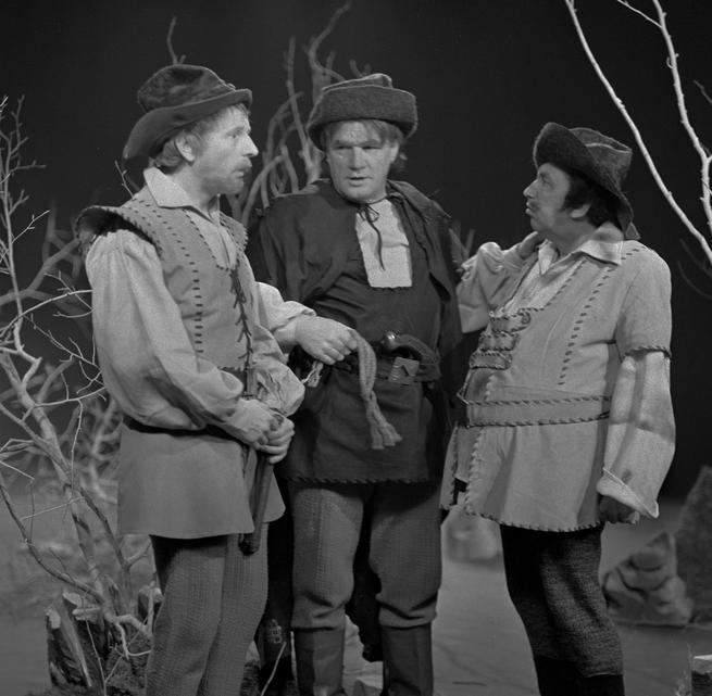 Král, kejklíř a hvězdář