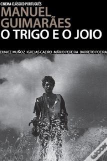 Profilový obrázek - Trigo e o Joio, O