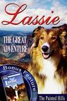 Lassie - Velké dobrodružství (1963)