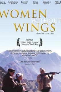 Profilový obrázek - Women Without Wings