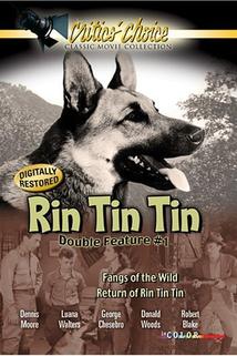 The Return of Rin Tin Tin
